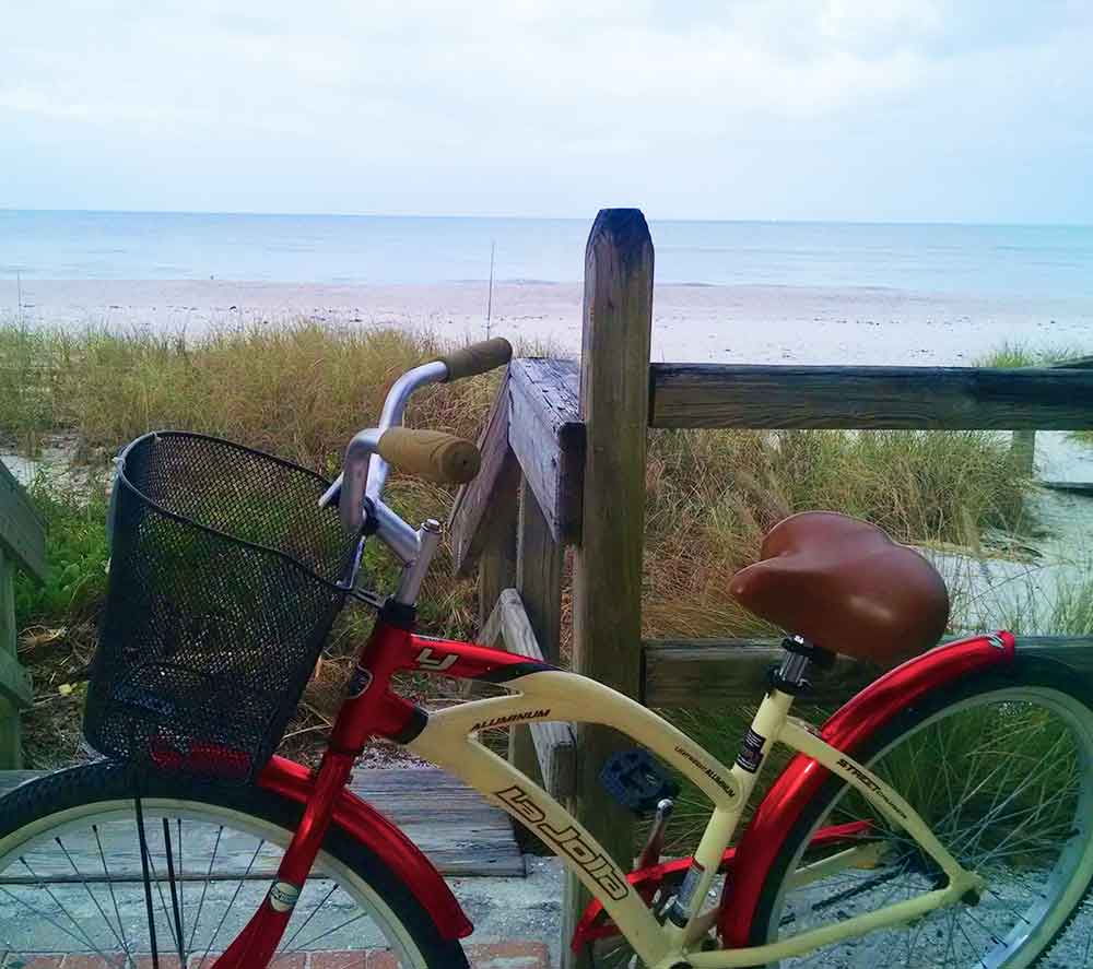 La jolla beach cruiser bike rental near Lowdermilk Park beach access | Bike Rentals Naples, Florida Beach Bum Bike Rentals